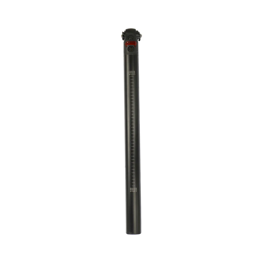 Additional Fiido Electric Bike Battery for D21