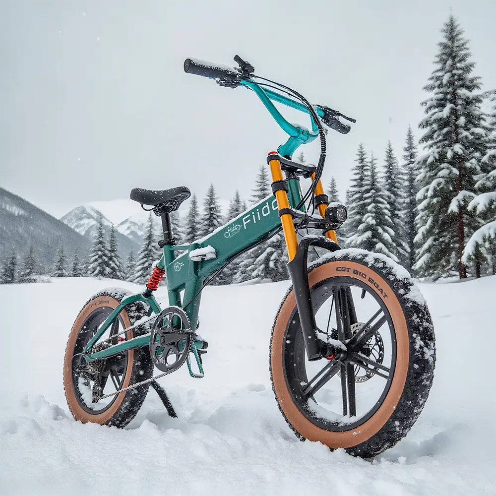 Fiido M1 Pro Fat Tire Electric Bike - Image 3