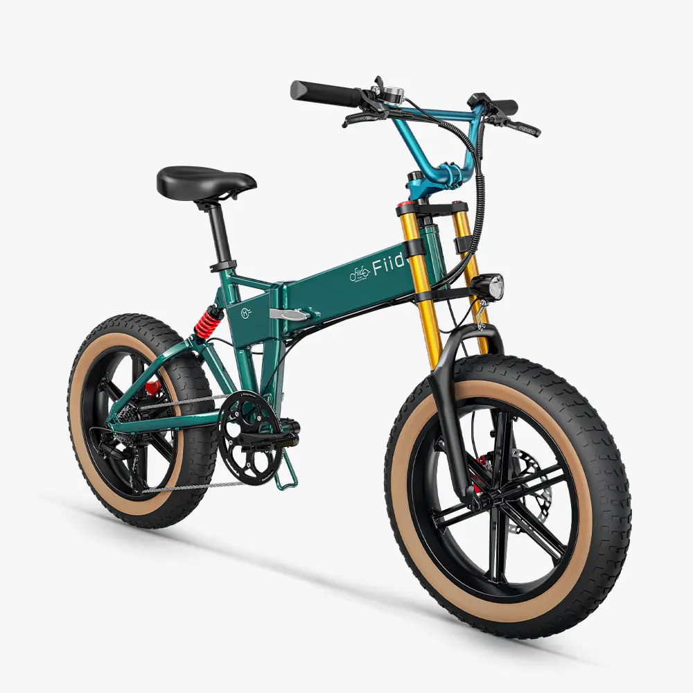 Fiido M1 Pro Fat Tire Electric Bike - Image 9